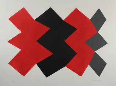 Aguatinta Chancho - Montserrat 8