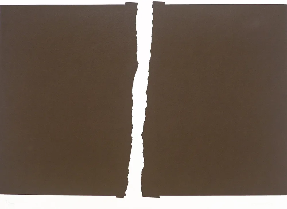 Serigrafía Chancho - S/T