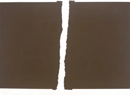 Serigrafía Chancho - S/T