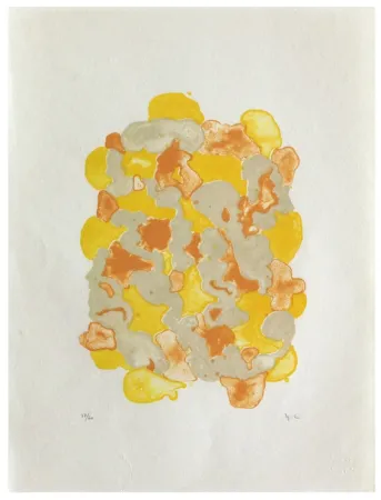 Litografía Chaudouët - Lichens 7