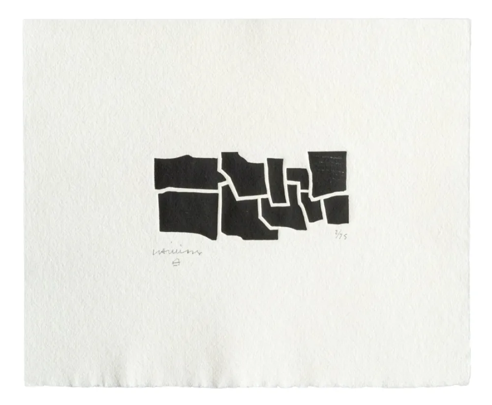 Sin Técnico Chillida - Oin-Hatz