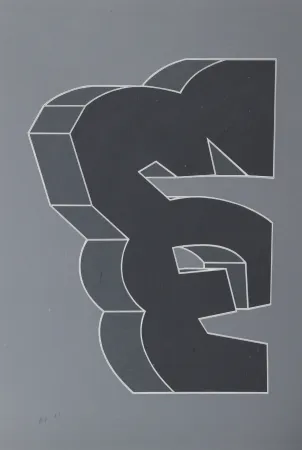 Serigrafía Chryssa - Times Square Fragment XII