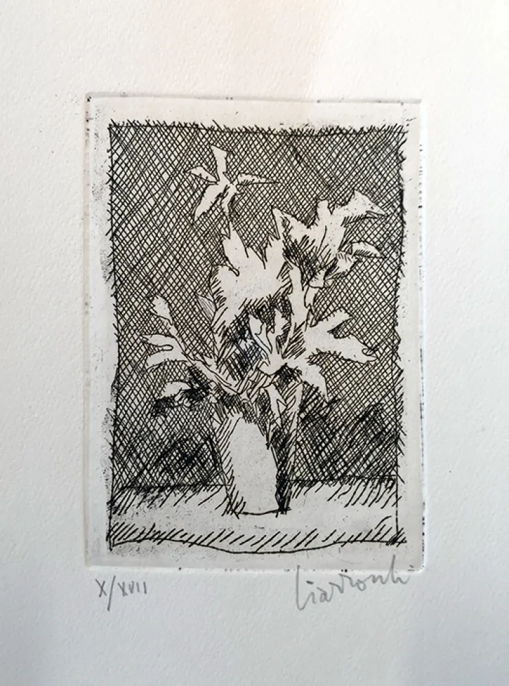 Aguafuerte Ciarrocchi - Fiori