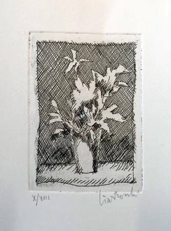 Aguafuerte Ciarrocchi - Fiori
