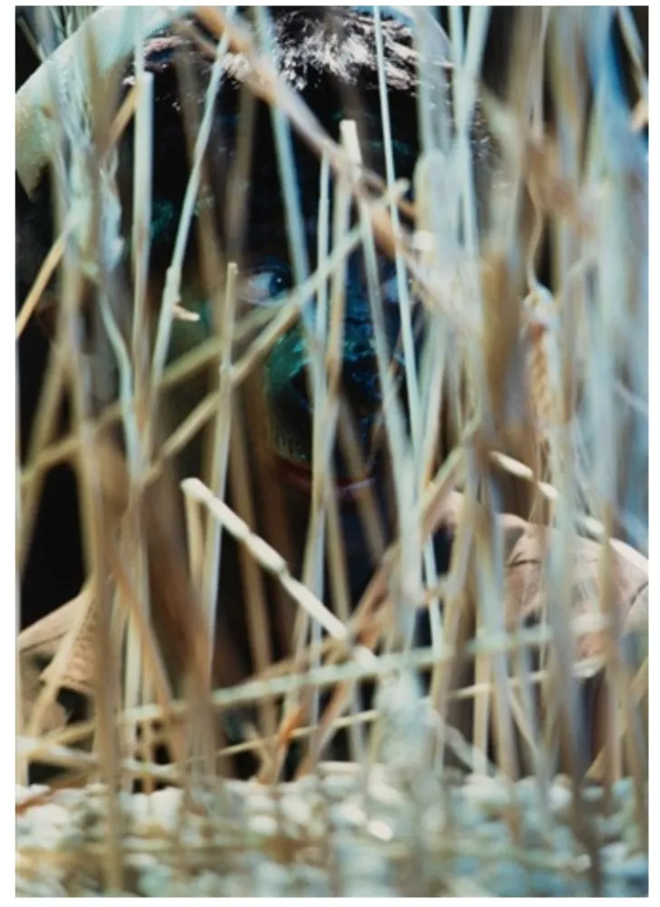 Fotografía Cindy - Untitled (from The Portfolio for Joseph Beuys)