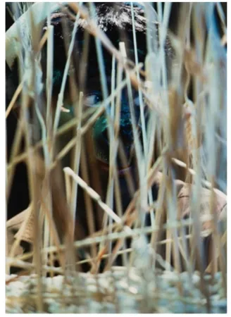 Fotografía Cindy - Untitled (from The Portfolio for Joseph Beuys)