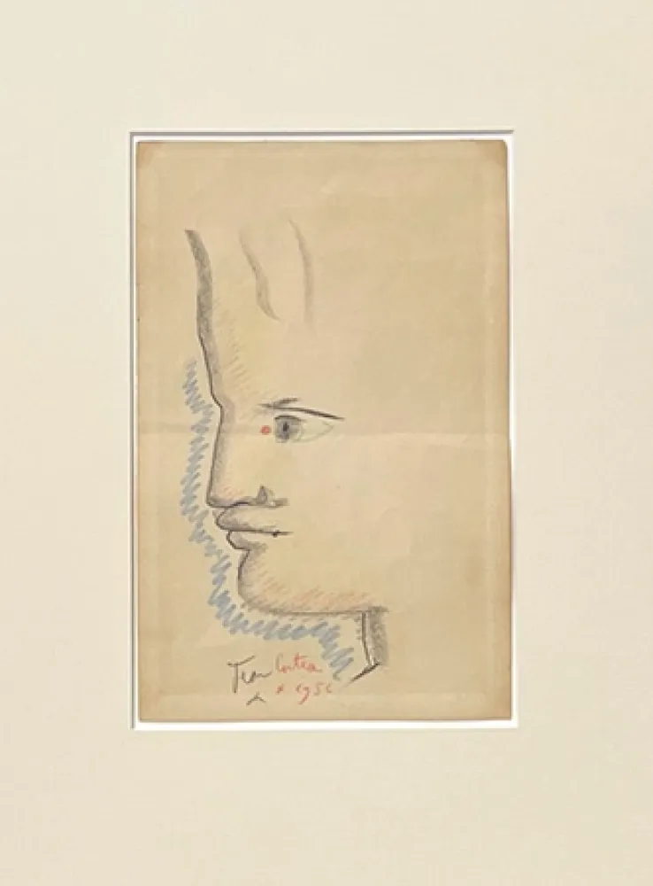 Sin Técnico Cocteau - Profil à gauche