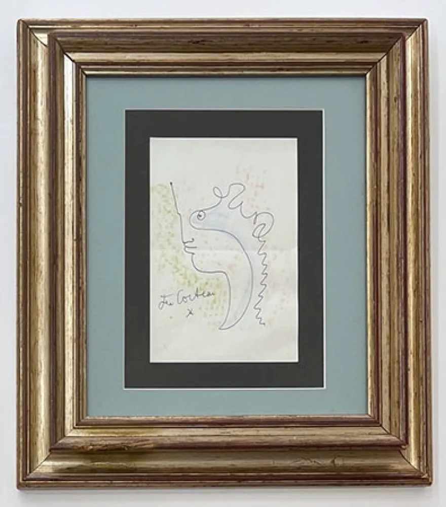 Sin Técnico Cocteau - Profil aux courbes