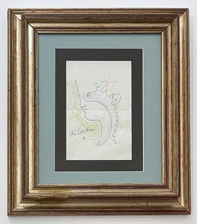 Sin Técnico Cocteau - Profil aux courbes