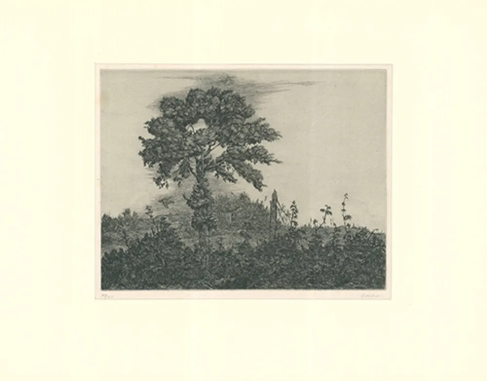 Grabado Coester - Einzelner Baum