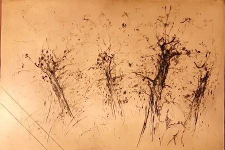 Sin Técnico Commère - Chasseur à l'affût