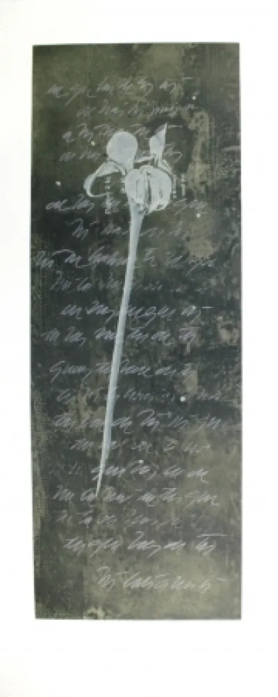 Aguafuerte Y Aguatinta Conte - El lenguaje de las flores I