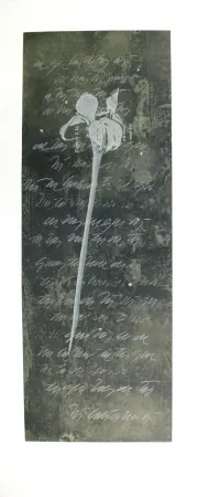 Aguafuerte Y Aguatinta Conte - El lenguaje de las flores I