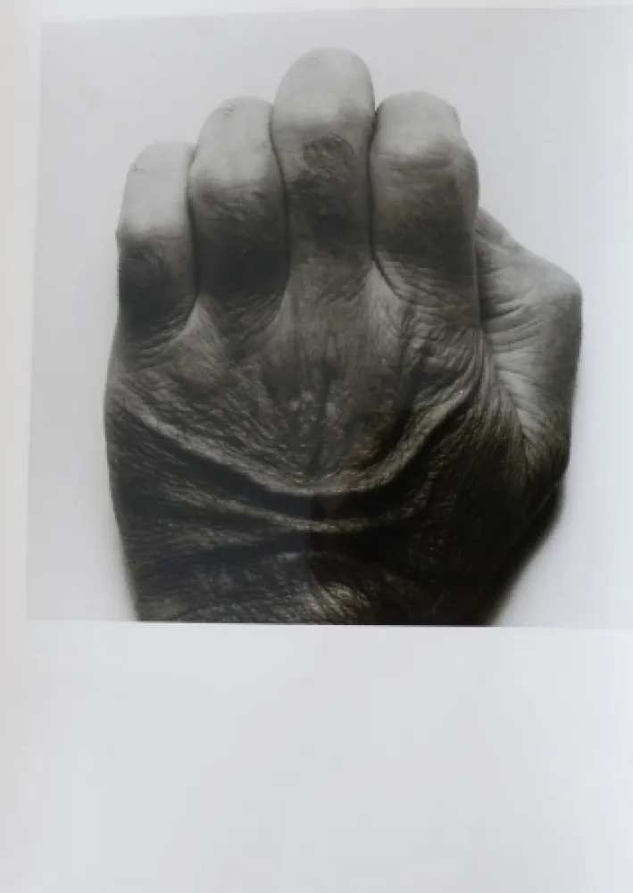 Fotografía Coplans - Selfportrait back of hand