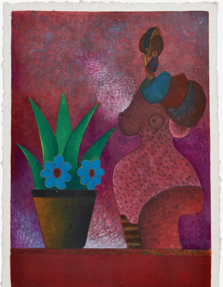 Sin Técnico Cora - La Jardinera