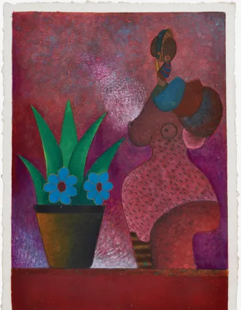 Sin Técnico Cora - La Jardinera