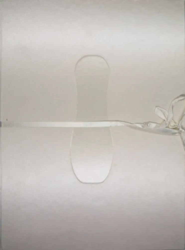 Libro Ilustrado Cormenzana - Pas de dansa