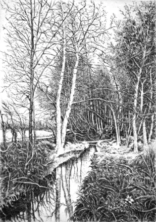 Aguafuerte Cotugno  - Autunno