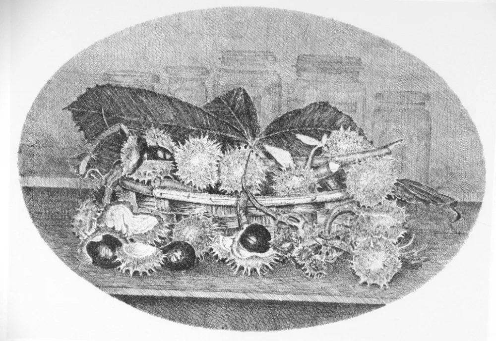 Aguafuerte Cotugno  - Cestino