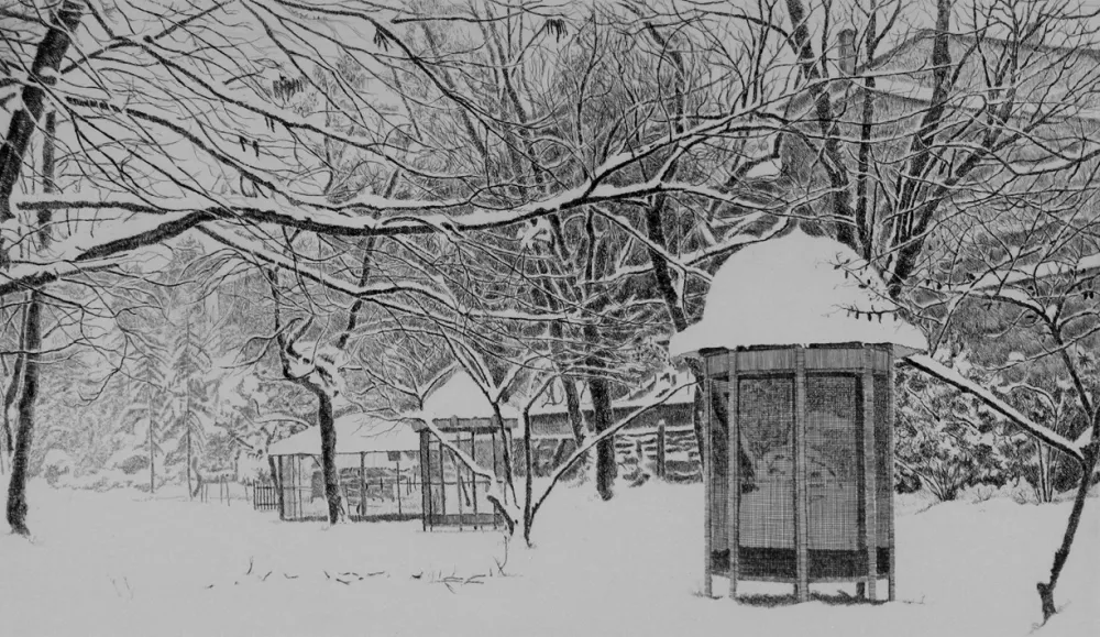 Aguafuerte Cotugno  - Gennaio. Isola Carolina