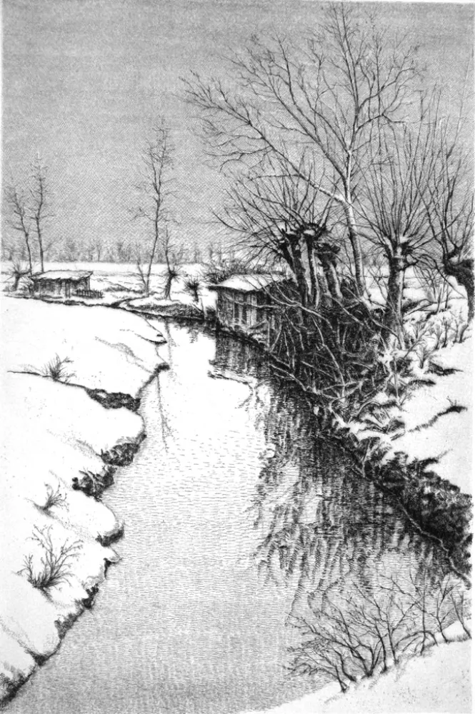 Aguafuerte Cotugno  - Il Sillaro