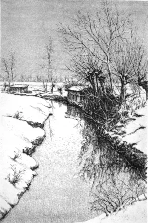 Aguafuerte Cotugno  - Il Sillaro