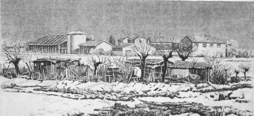 Aguafuerte Cotugno  - Orti a cascina San Marco (I stato)