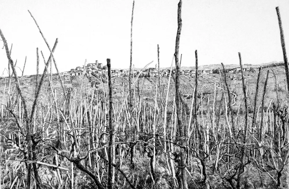 Aguafuerte Cotugno  - Rovescala