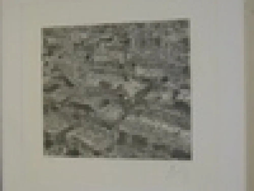 Grabado Cragg - Traffic