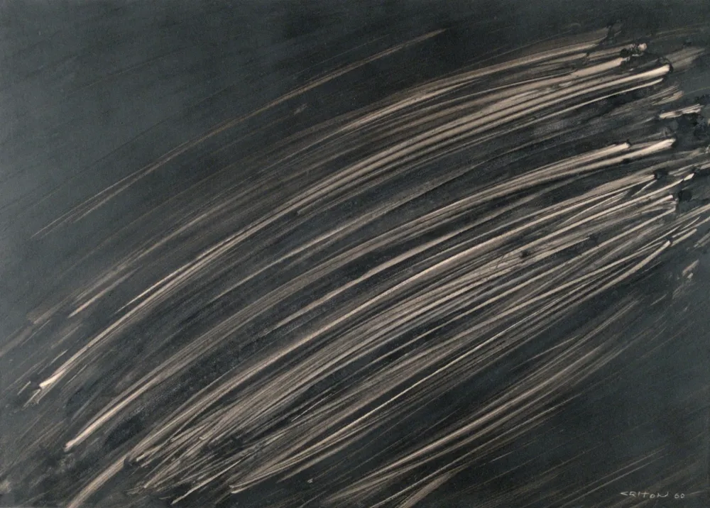 Sin Técnico Criton - Technique mixte sur papier marouflée sur toile. 