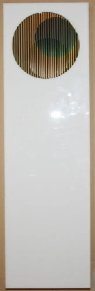 Múltiple Cruz-Diez - Chromointerference pancho 1