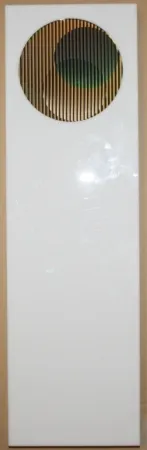 Múltiple Cruz-Diez - Chromointerference pancho 1