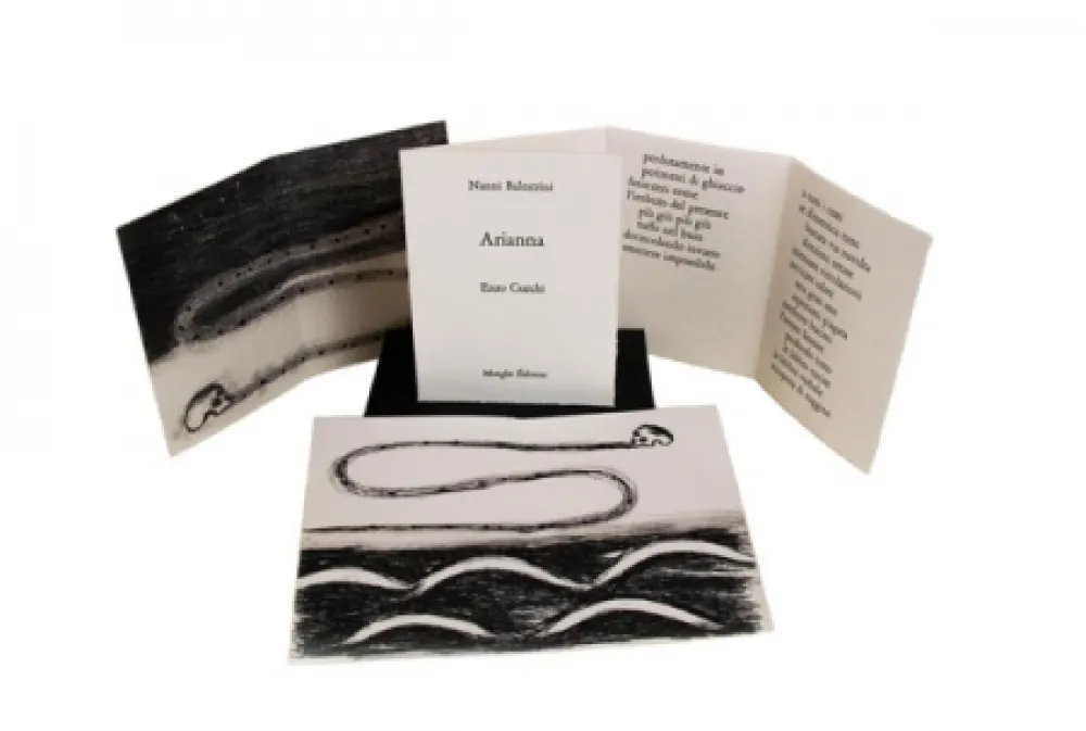 Libro Ilustrado Cucchi - Arianna