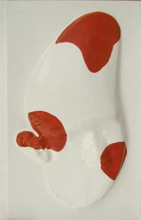 Libro Ilustrado Cucchi - La grande scimmia