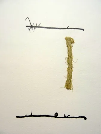 Libro Ilustrado Cuixart - Cuixart