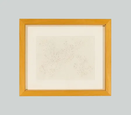 Sin Técnico Dadamaino - In luogo del bianco e del nero (Costellazioni)