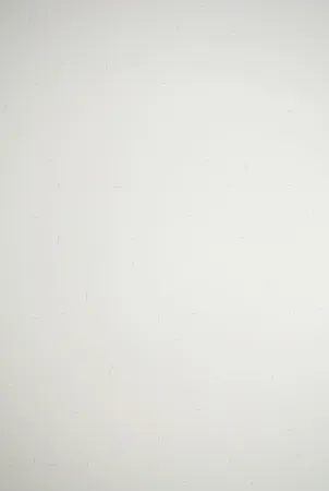 Litografía Dadamaino - Senza titolo