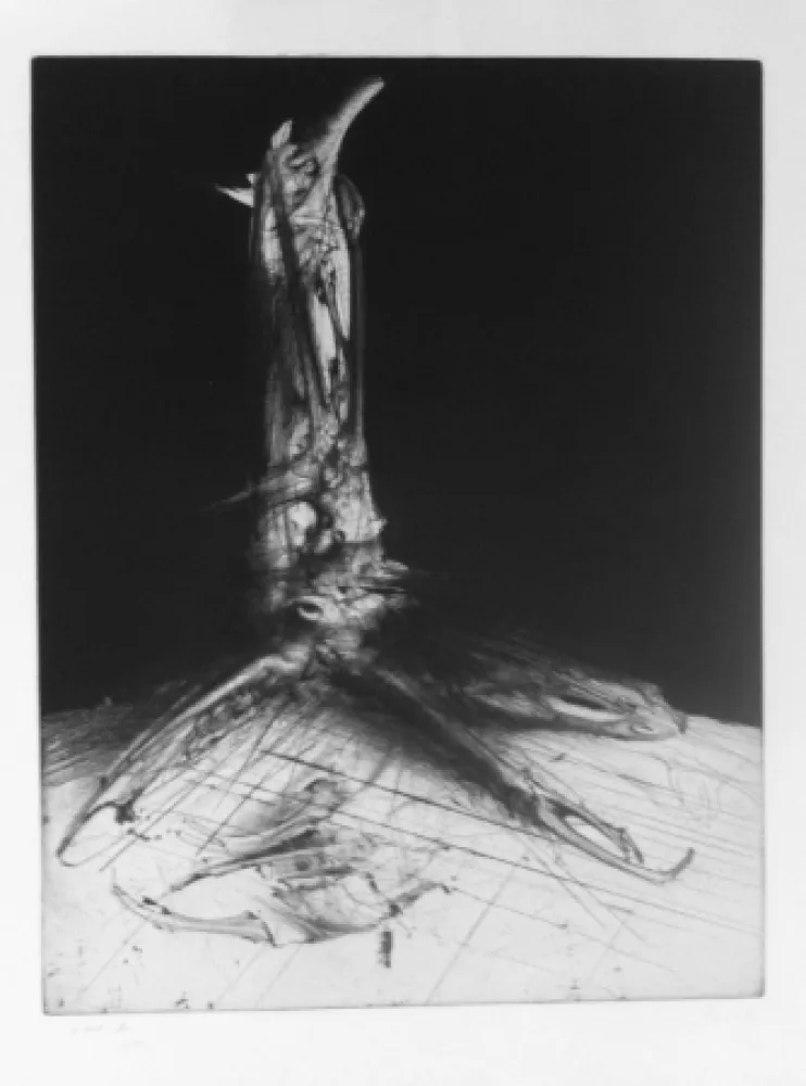 Grabado Dado - Sans titre