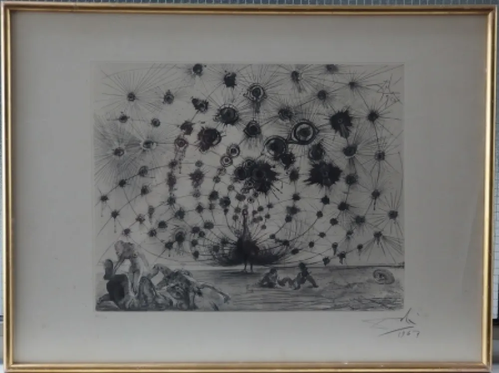 Aguafuerte Y Aguatinta Dali - Argus