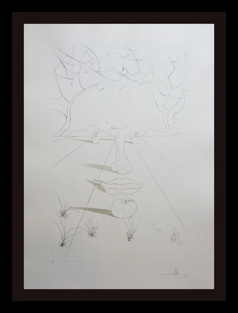 Grabado Dali - Aurelia Visage Surrealiste