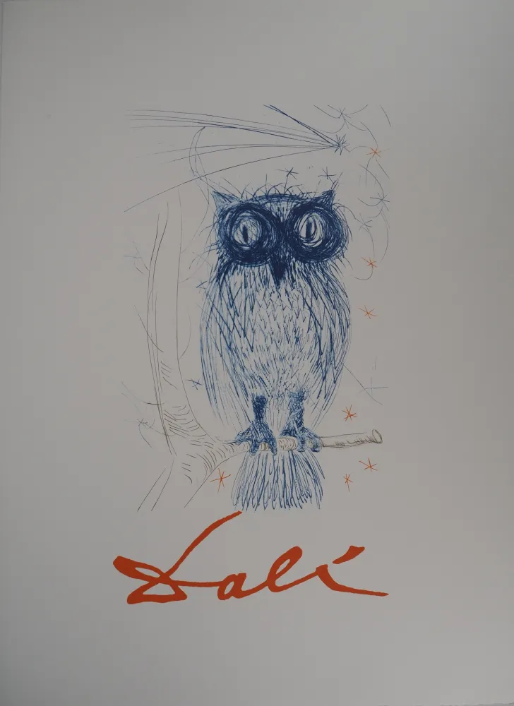 Litografía Dali - Chouette bleue
