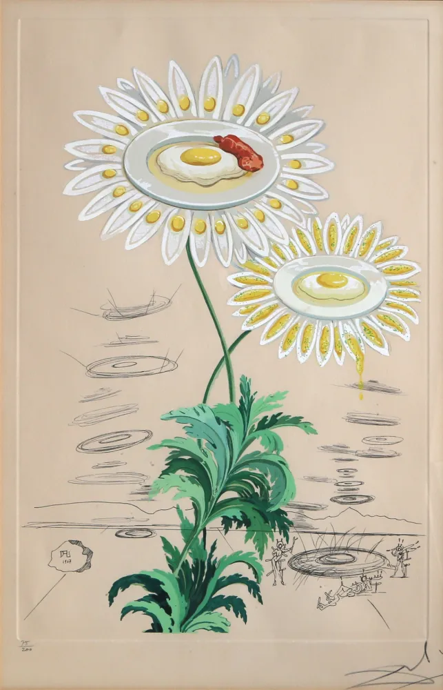 Grabado Dali - Chrysanthemum Frutescens
