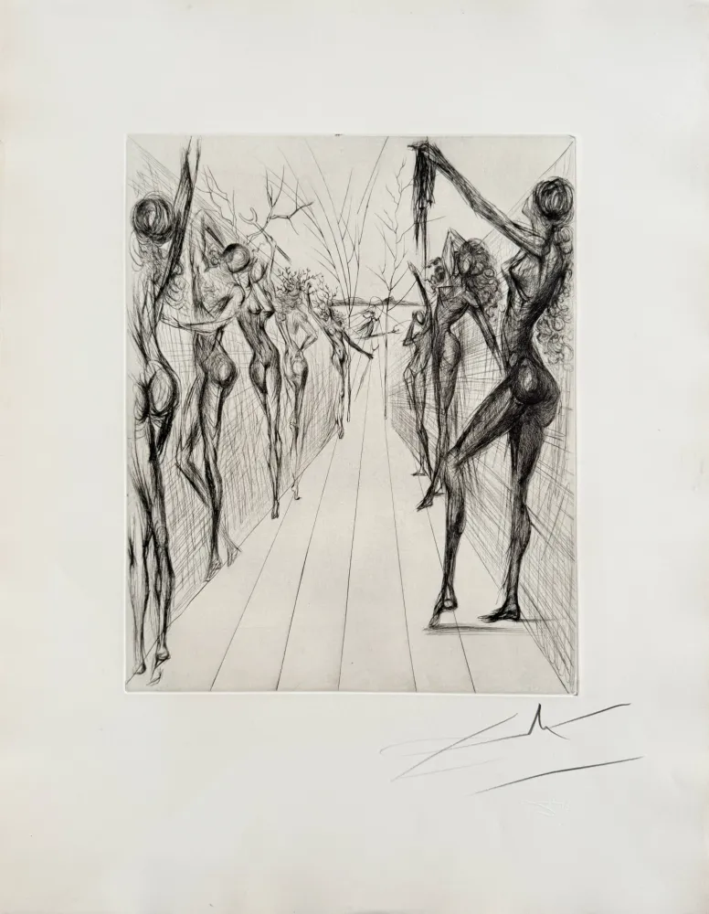 Punta Seca Dali - Corridor de Kathmandou (Katmandu Corridor), black