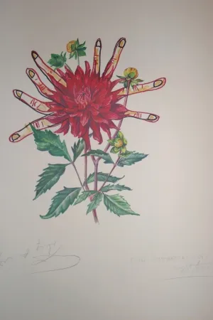 Litografía Dali - Dahlias of Dalí (surrealistic flowers)