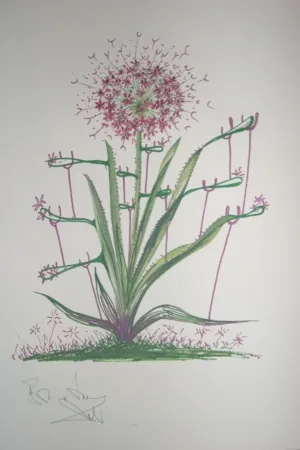 Litografía Dali -  Desert Cactus (surrealistic flowers)