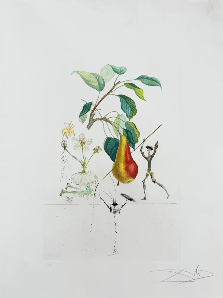 Litografía Dali - Don Quixote Pear from Flordali suite