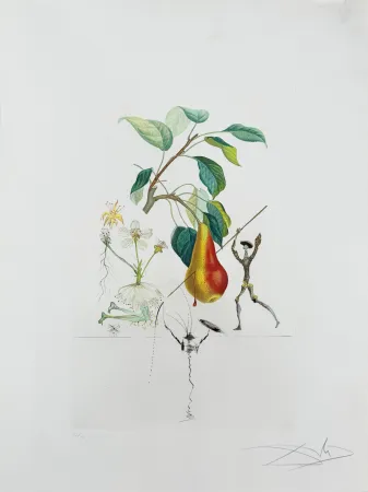Litografía Dali - Don Quixote Pear from Flordali suite