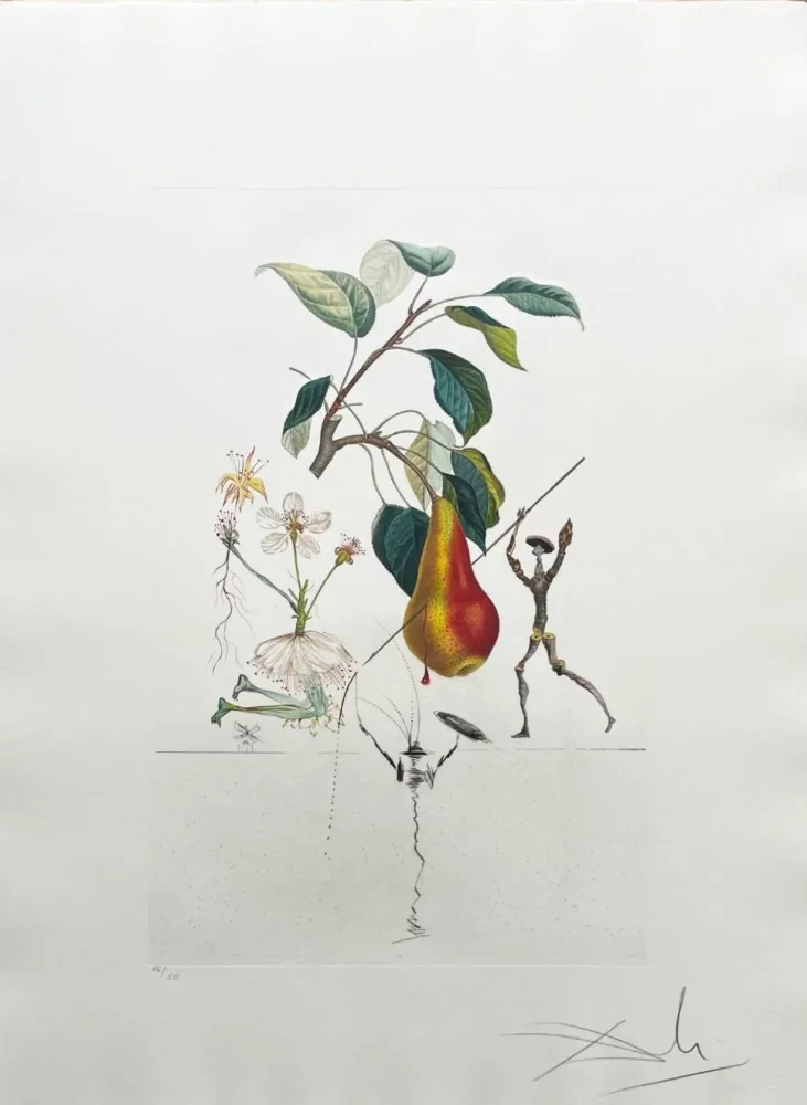 Litografía Dali - Don Quixote Pear from Flordali suite