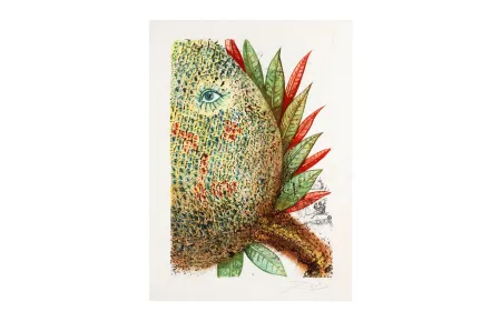 Aguafuerte Y Aguatinta Dali - FLEURS RÊVÉES. Portfolio complet. 7 estampes (1970)
