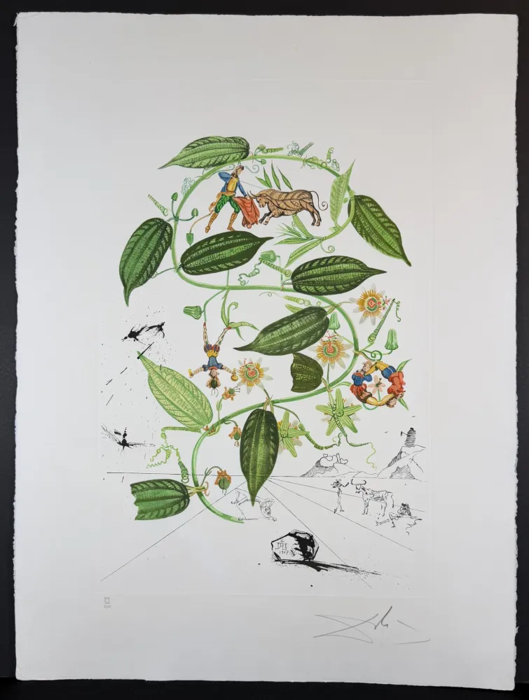Grabado Dali - Flora Dalinae Passionflower
